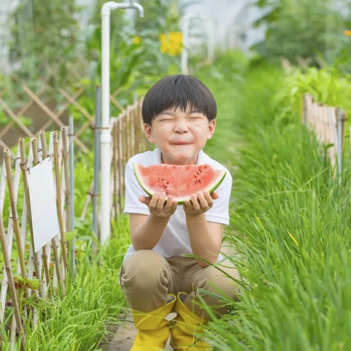 臺(tái)風(fēng)高發(fā)、高溫酷熱的大暑，該喝什么消暑湯水？