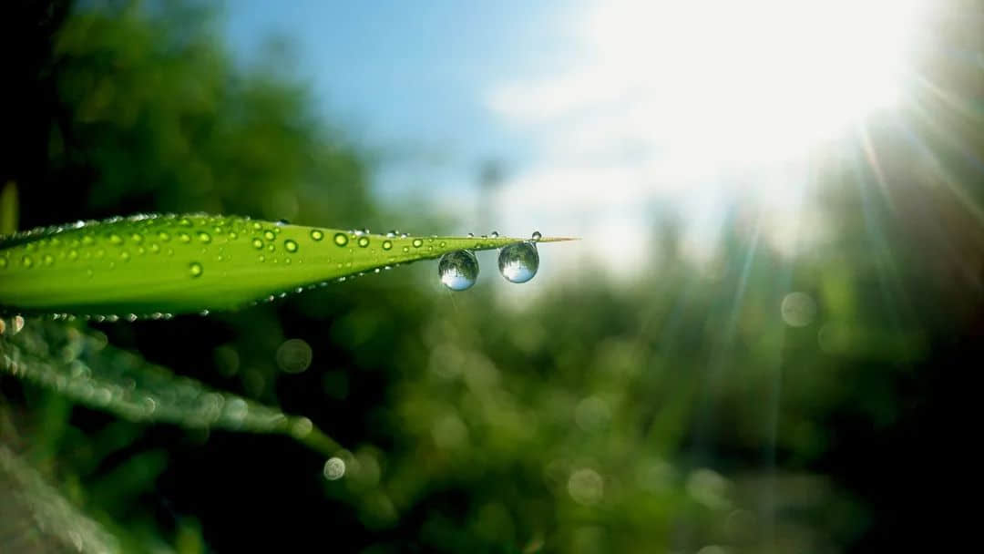 處暑到！又熱又干的天氣該喝什么湯？