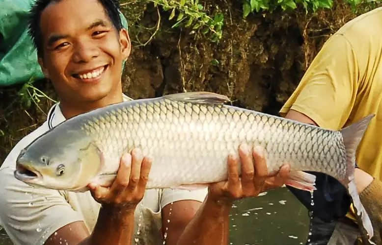 這些米其林看不上的地道廣東美食，你試過多少道？