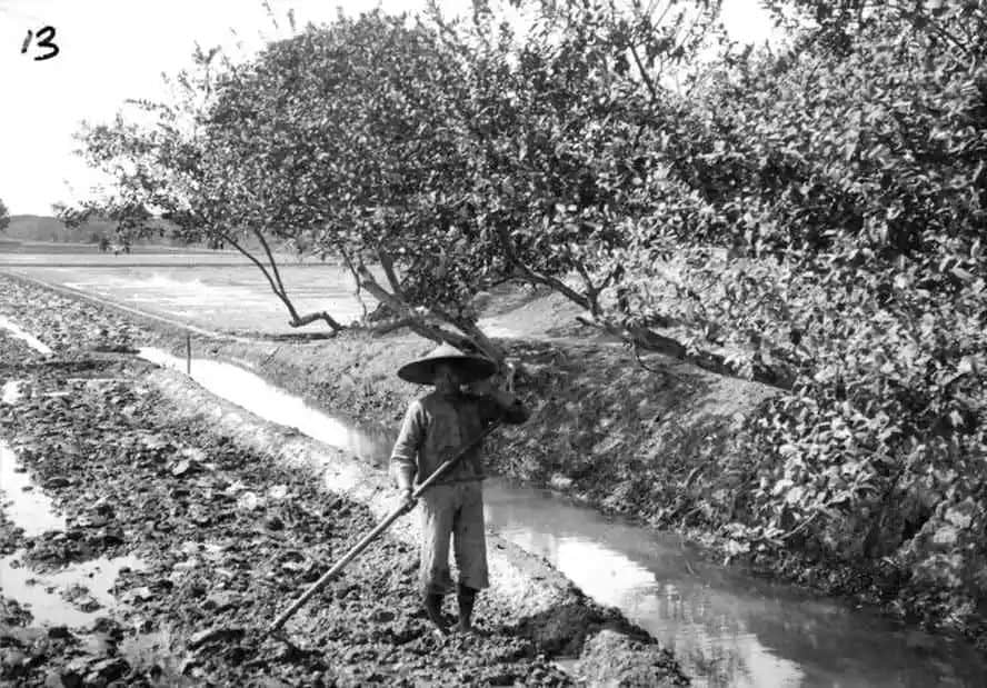 遠去的水鄉(xiāng)，多少悲歡講不完