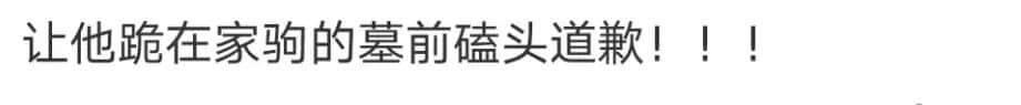 何金德導(dǎo)演為什么會惹眾怒？