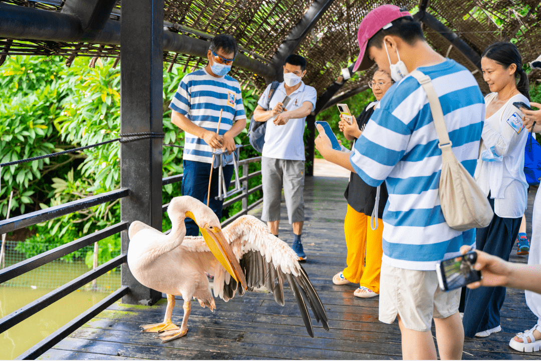 ▲ 南沙水鳥(niǎo)生態(tài)園