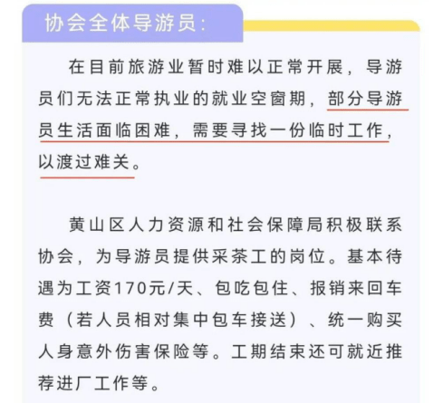 十一黃金周：大膽出游開盲盒，還是心有不甘地宅家？