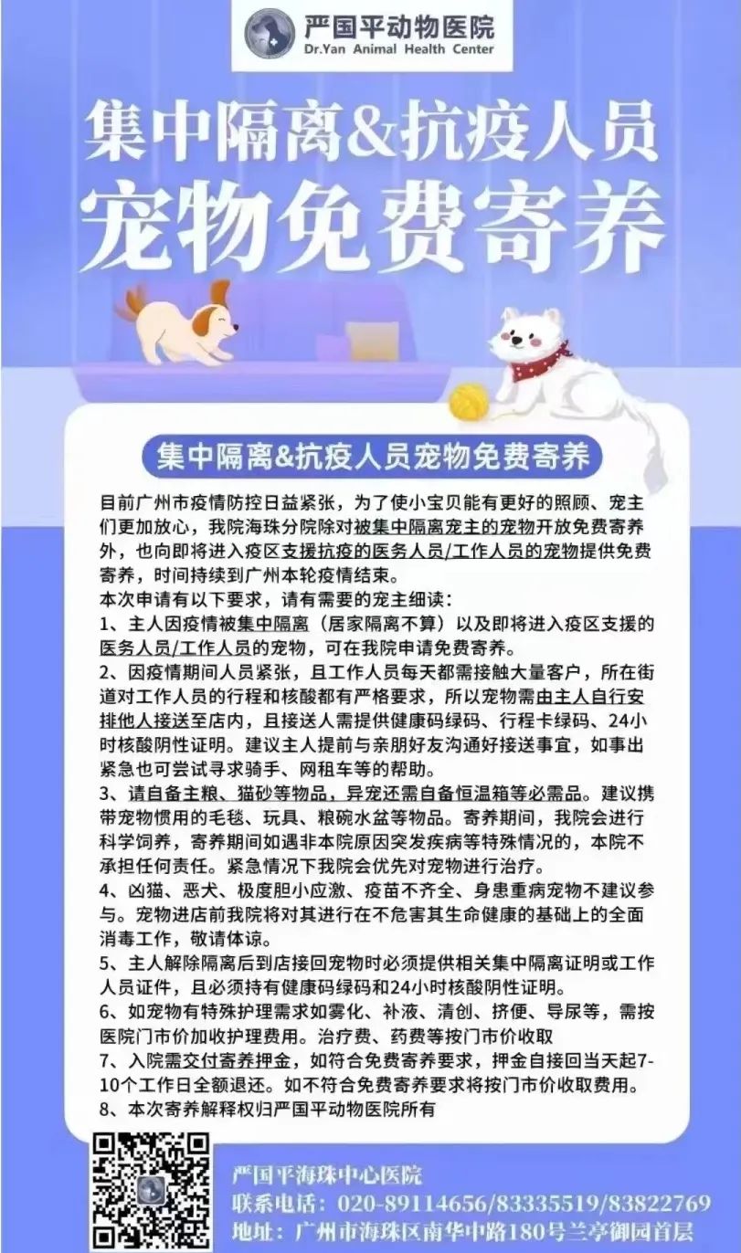 廣州疫情封控不斷加強，留守寵物誰來守護？