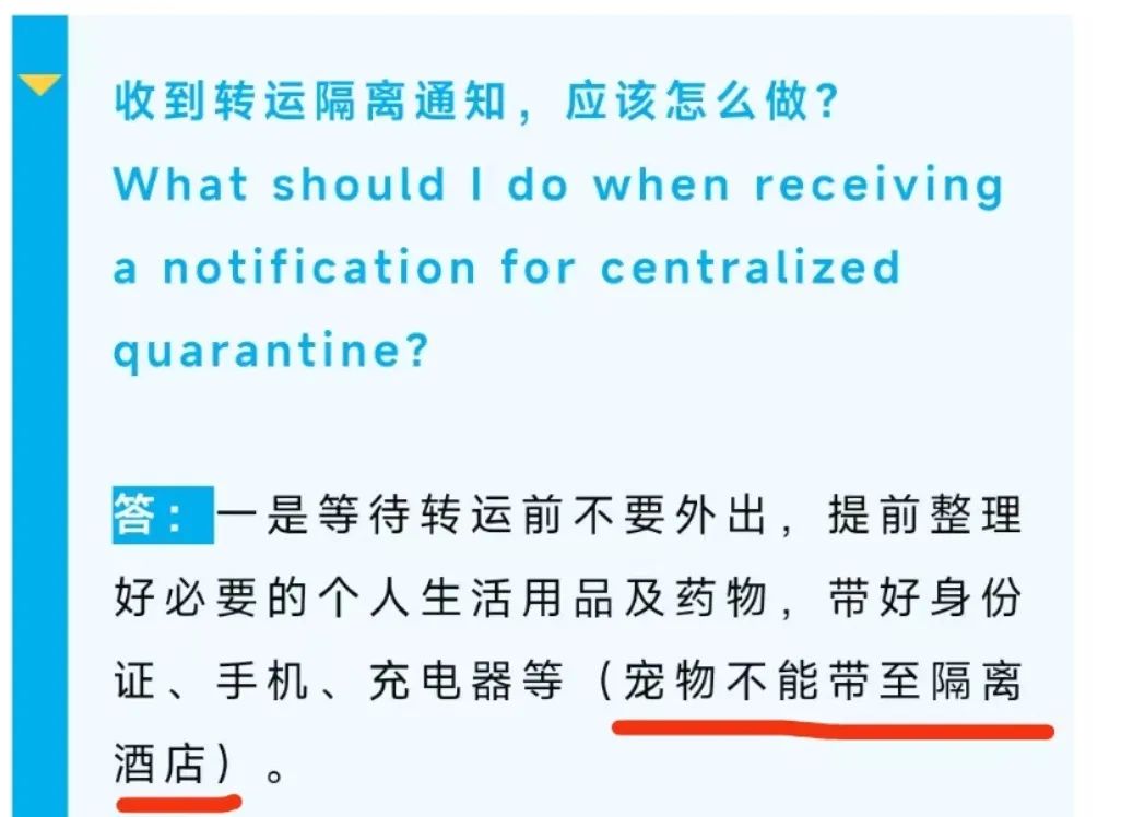 廣州疫情封控不斷加強，留守寵物誰來守護？