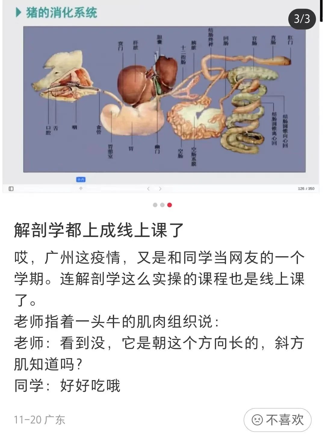 疫情下的大學(xué)生：封了，也“瘋”了？