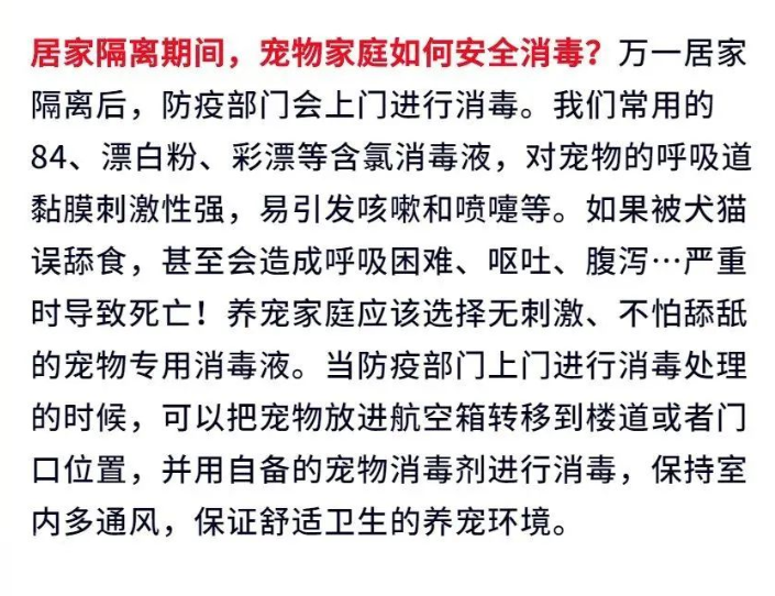 廣州疫情封控不斷加強，留守寵物誰來守護？