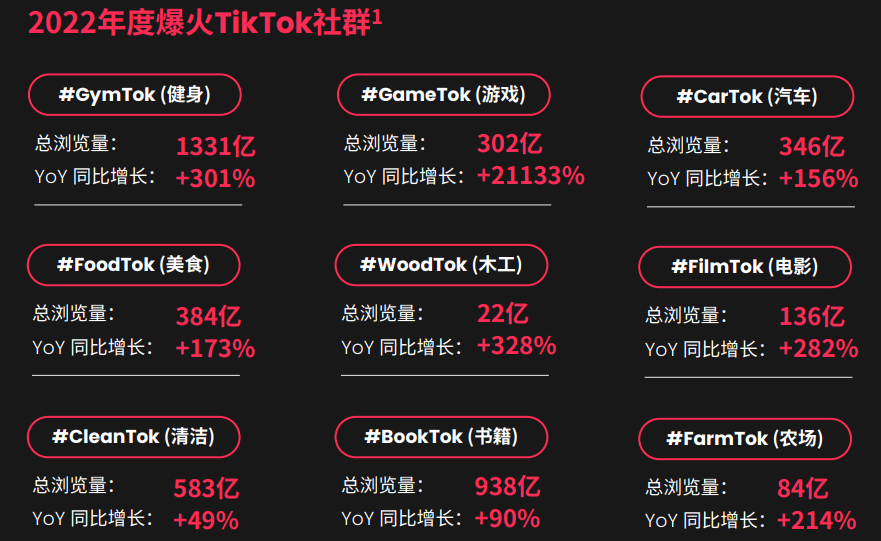 2022年度爆火 TikTok 社群