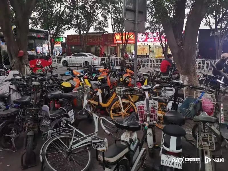 廣州電雞圍城：私人電動車未治，共享電動車又來？