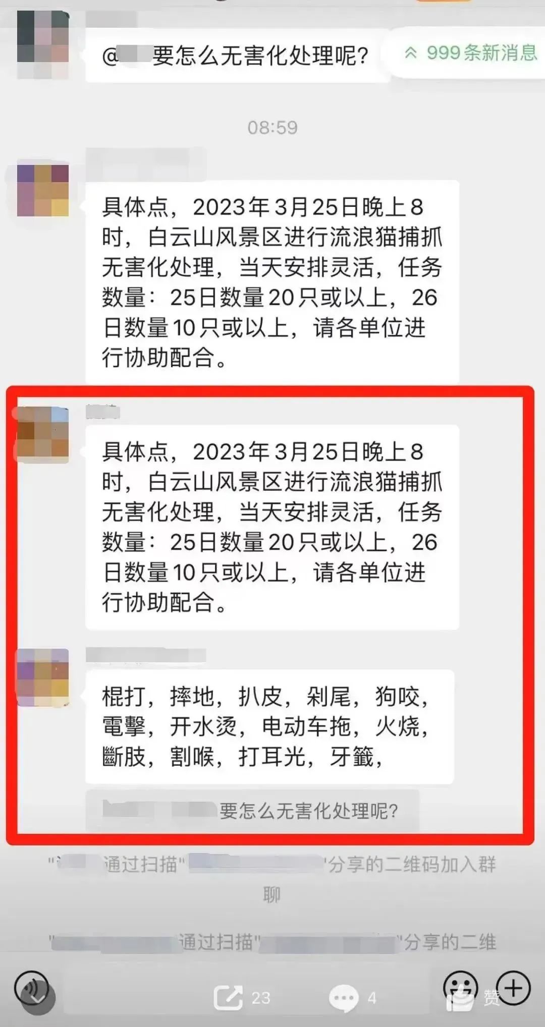 虐貓團(tuán)伙預(yù)謀在廣州公園下毒手，流浪貓命運(yùn)如何？