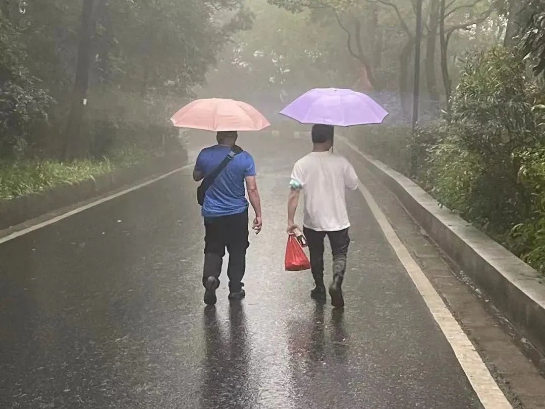 虐貓團(tuán)伙預(yù)謀在廣州公園下毒手，流浪貓命運(yùn)如何？