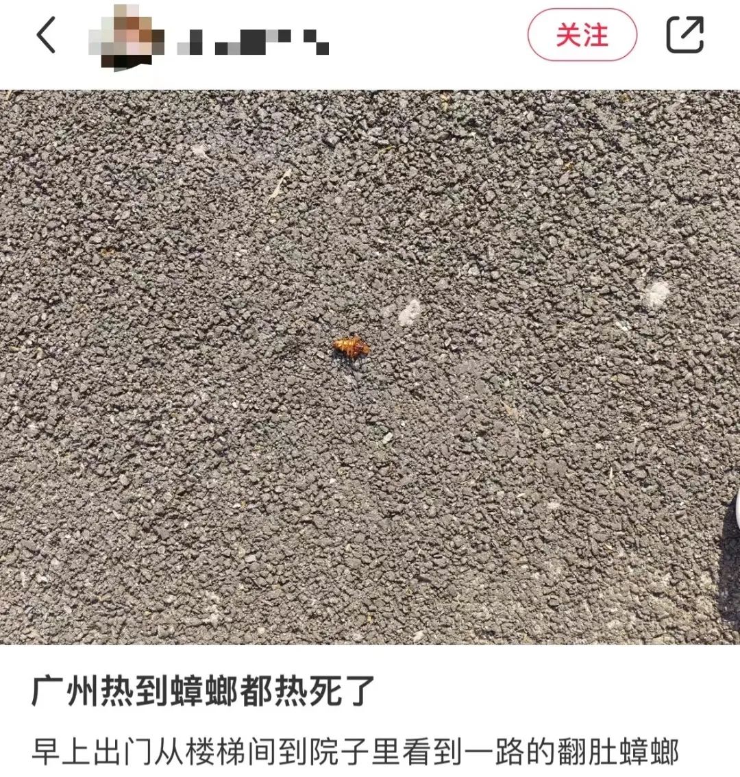 這兩天的廣州，只有國父孫中山敢在戶外站那么久……