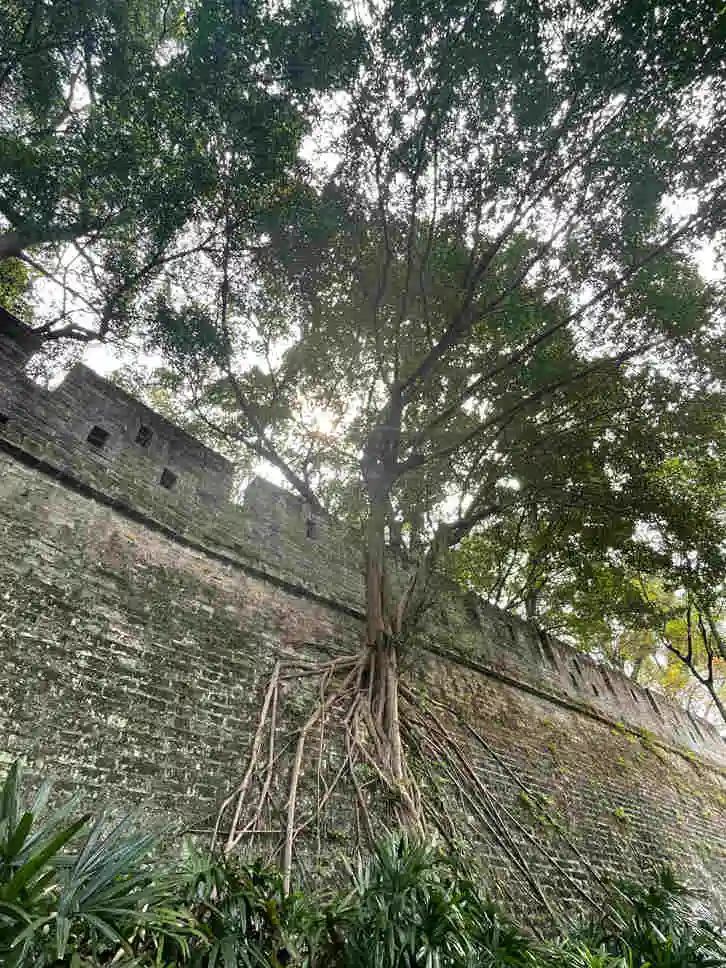 尋找明代廣州城墻 || 馮沛祖