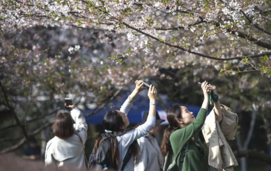 想進(jìn)廣東高校參觀，還要花錢找黃牛？