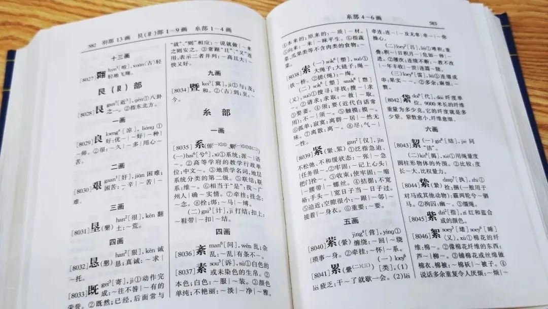 廣東人掛喺嘴邊卻經(jīng)常寫錯嘅粵語字，你寫啱咗未？