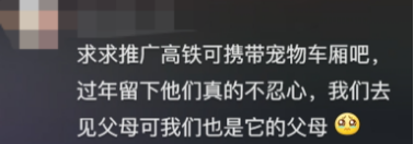 廣東開通寵物專線，你愿意和貓狗同坐一車嗎？