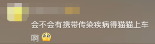 廣東開通寵物專線，你愿意和貓狗同坐一車嗎？