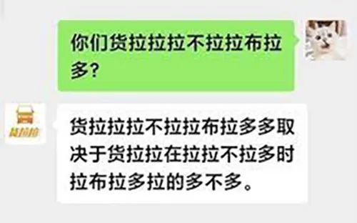 廣東開通寵物專線，你愿意和貓狗同坐一車嗎？