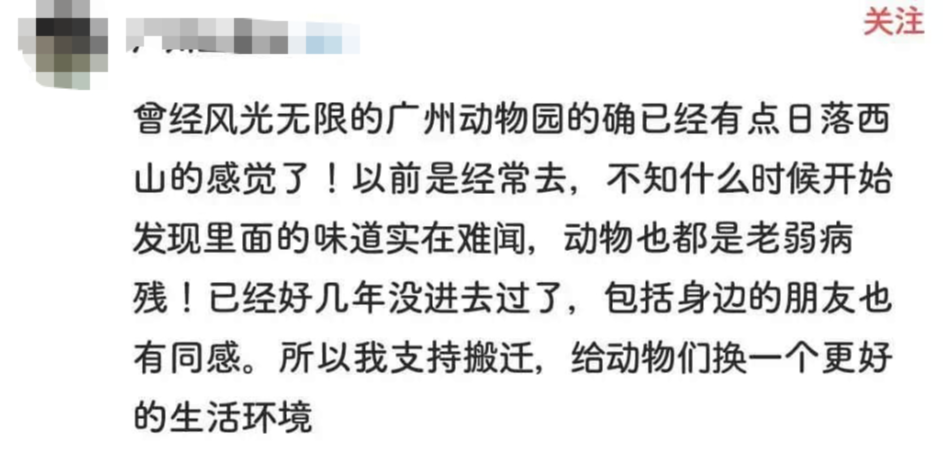 66歲的廣州動物園改造：該以人還是以動物為本？