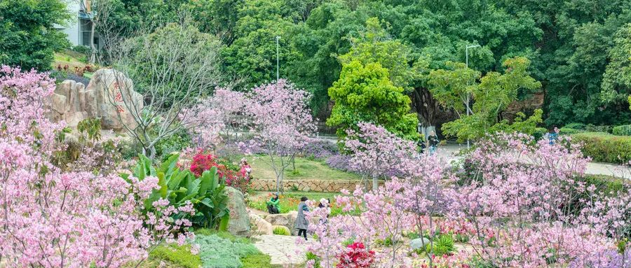 花城、花縣、花洲、花地……這些廣州地名是怎么來的？