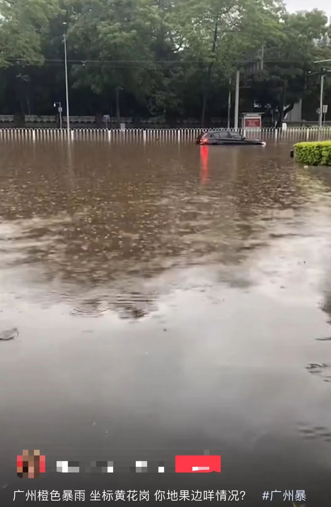 暴雨下的廣州：天河有河，番禺有魚