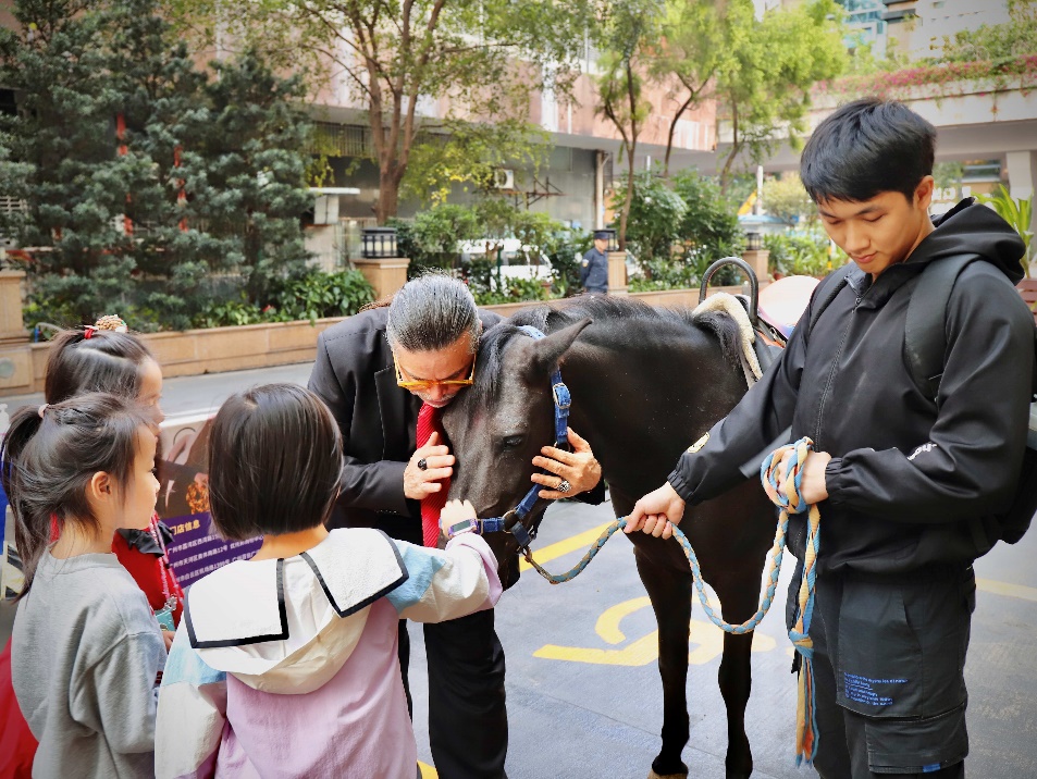 圣誕集市外賓客與馬匹互動