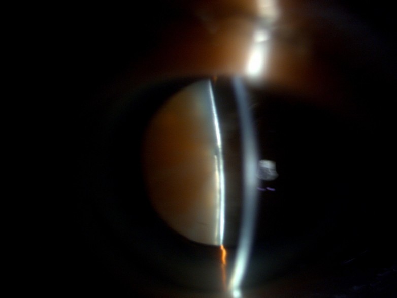 1745201298211464.jpg