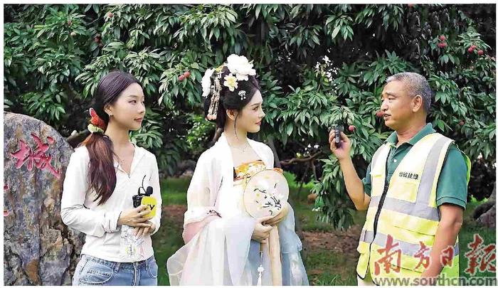 南方公益聯(lián)合YY直播探訪“荔枝之鄉(xiāng)”