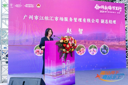 伽師新梅萬里行甜蜜登陸廣州，共啟南國甜蜜新篇章
