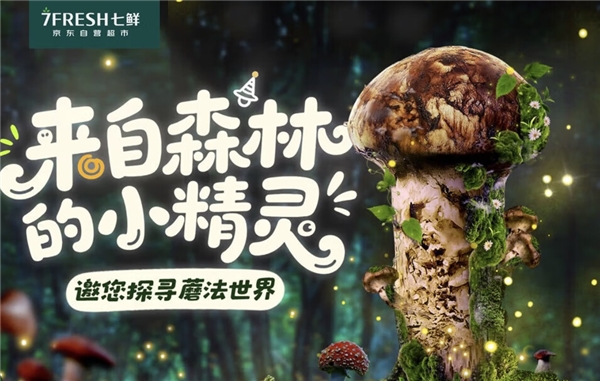 “蘑”法山珍平價(jià)嘗鮮! 京東七鮮香格里拉松茸99元開搶