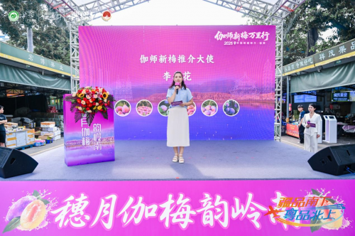 伽師新梅萬里行甜蜜登陸廣州，共啟南國甜蜜新篇章