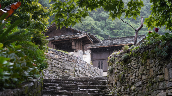 穗安協(xié)作賦能安順農(nóng)文旅發(fā)展——平臺企業(yè)助力特色鄉(xiāng)村新圖