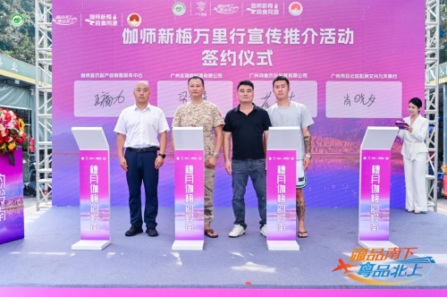 伽師新梅萬里行甜蜜登陸廣州，共啟南國甜蜜新篇章